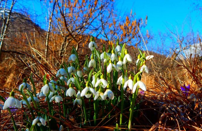 Danas sunčano, do 19 stepeni
