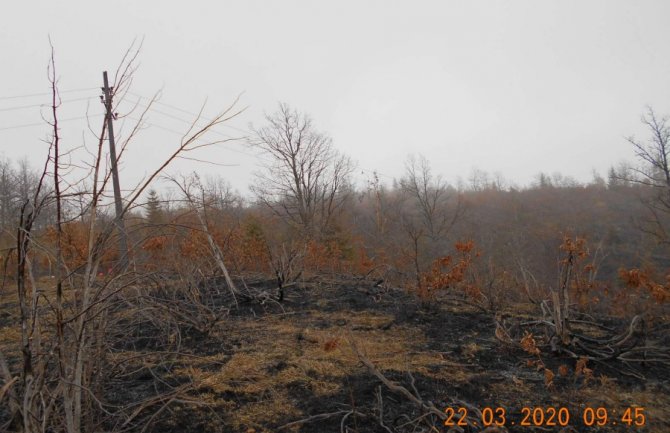 CEDIS: Paljenje livada ugrožava dalekovode i ljudske živote