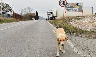 Tuzi: Porodice vjeruju da su se zarazili na saučešću