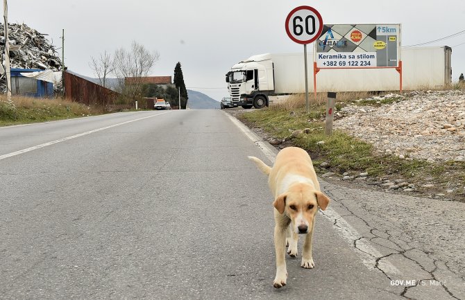Tuzi: Porodice vjeruju da su se zarazili na saučešću
