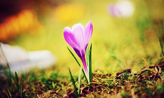 Danas oblačno i suvo, do 19 stepeni