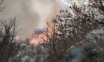 Ugašen požar nadomak Manastira Morača, svi objekti spašeni 