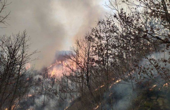 Ugašen požar nadomak Manastira Morača, svi objekti spašeni 