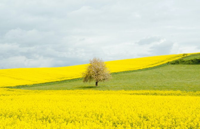 Na sjeveru ponegdje slabije padavine, jak vjetar