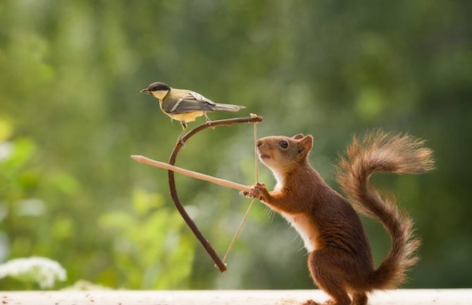 Danas sunčano, do 23 stepena