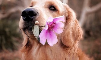 Za dane vikenda sunčano i toplo, do 26 stepeni