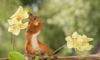 Pretežno sunčano, do 26 stepeni