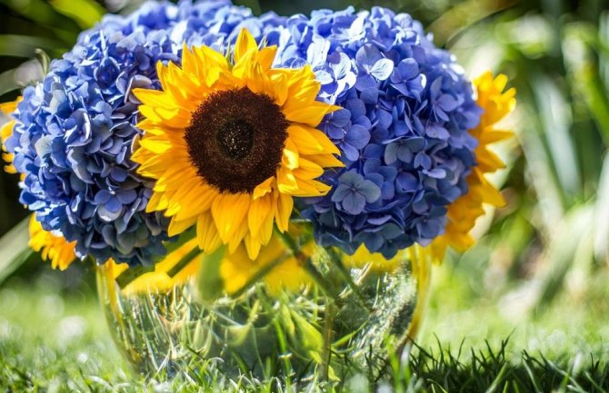 Pretežno sunčano, do 24 stepena