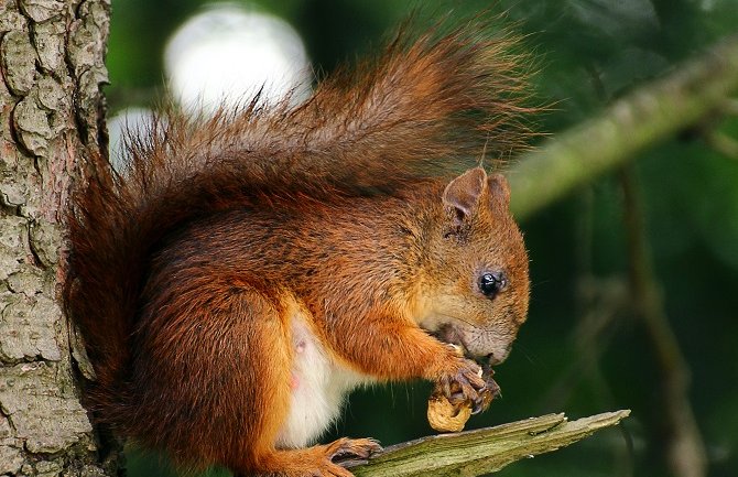 Pretežno sunčano, do 26 stepeni