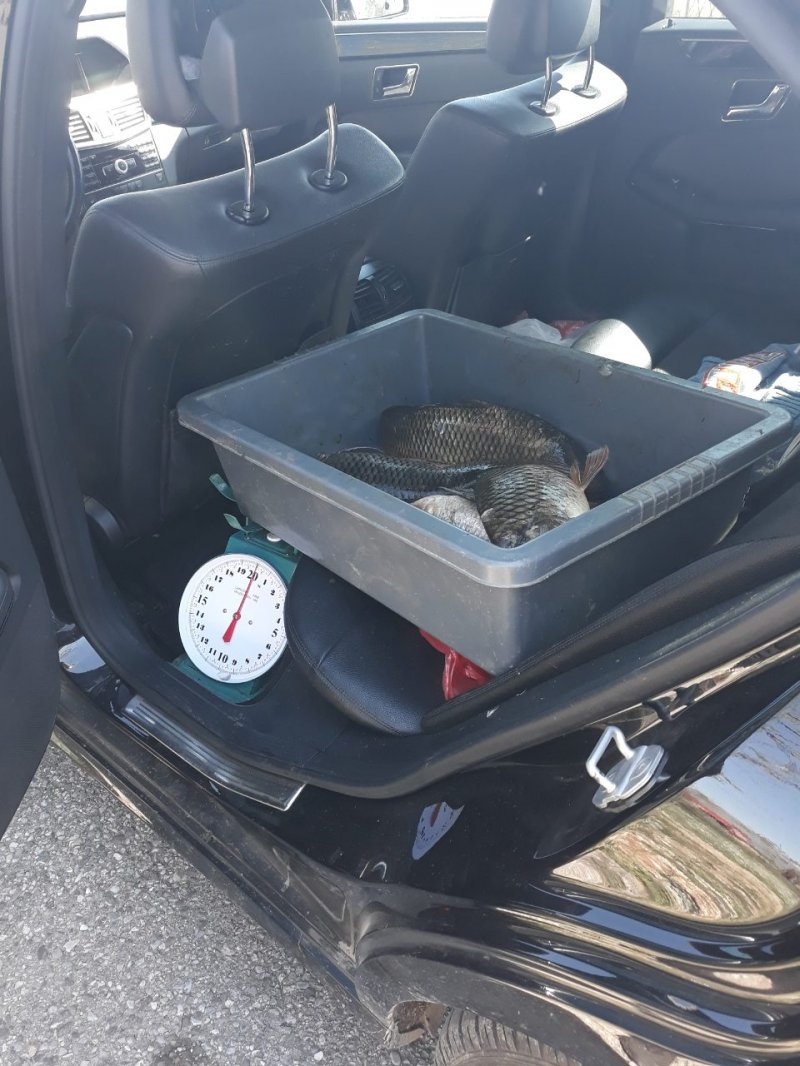 zaplijenjenaribaapril2020