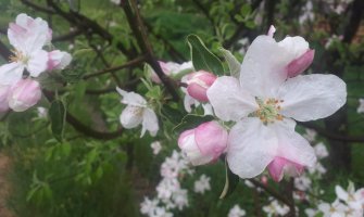 Oblačno, mjestimično slabe padavine