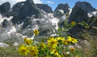 Nacionalni parkovi otvoreni za posjetioce, za sada dostupni lokalnom stanovništvu