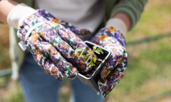 Iskoristite vikend i lijepo vrijeme, pretvorite svoju terasu u baštu