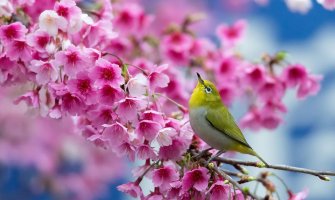 April ove godine drugi najtopliji od kad postoje mjerenja