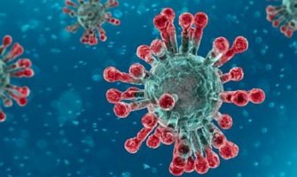 Francuska: Broj preminulih porastao na 28.132