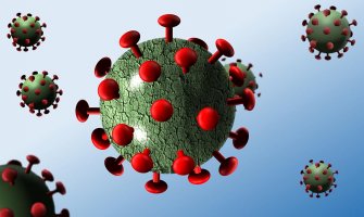 Geni odgovorni za veliku razliku u smrtnosti među državama tokom pandemije