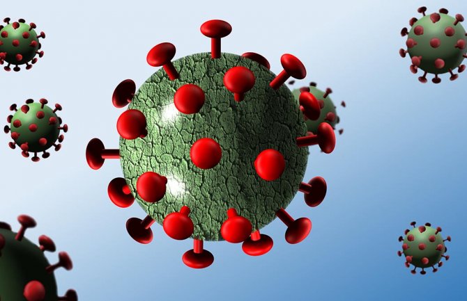 Geni odgovorni za veliku razliku u smrtnosti među državama tokom pandemije