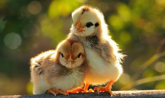 Evo kakvo vrijeme očekujemo za dane vikenda