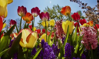 U Crnoj Gori danas sunčano i toplo, do 30 stepeni