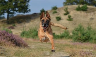 Za dane vikenda veoma toplo, do 32 stepena