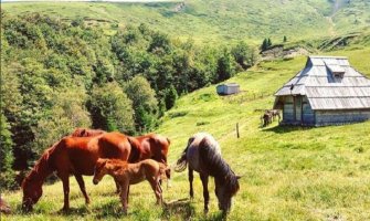 Uz razvoj ruralnog turizma da zaživi sjever