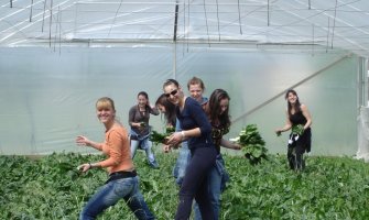 Koronavirus pojačao interesovanje za studije Biotehničkog fakulteta