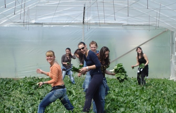 Koronavirus pojačao interesovanje za studije Biotehničkog fakulteta