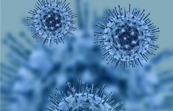 Koronavirus napada i bubrege: U roku od 48 sati virus se razmnožio 1.000 puta