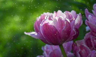 Promjenljivo oblačno, kiša u drugom dijelu dana