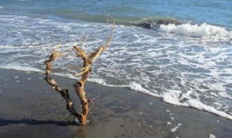 Oblačno sa sunčanim intervalima, tokom noći moguća kiša