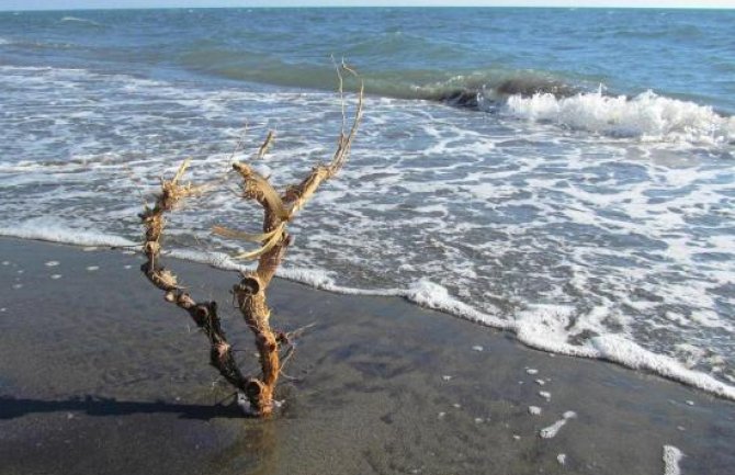Oblačno sa sunčanim intervalima, tokom noći moguća kiša