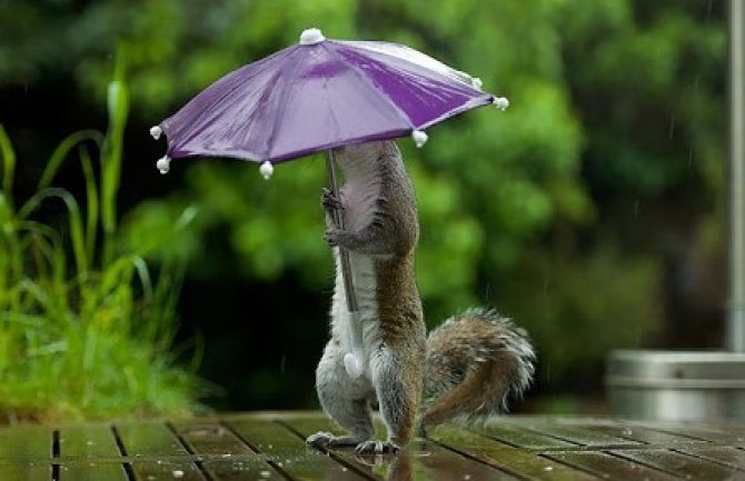 Oblačno, mjestimično kiša ili pljusak praćen grmljavinom