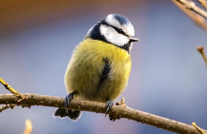Umjereno oblačno, poslijepodne na sjeveru kiša