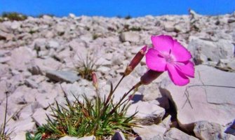 Pretežno sunčano, do 34 stepena