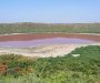 Jezero u Indiji poprimilo ružičastu boju (VIDEO)