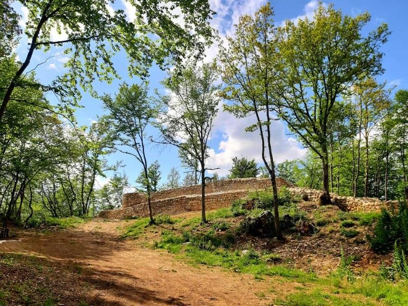 98175875101587515137438816964382284707266560n