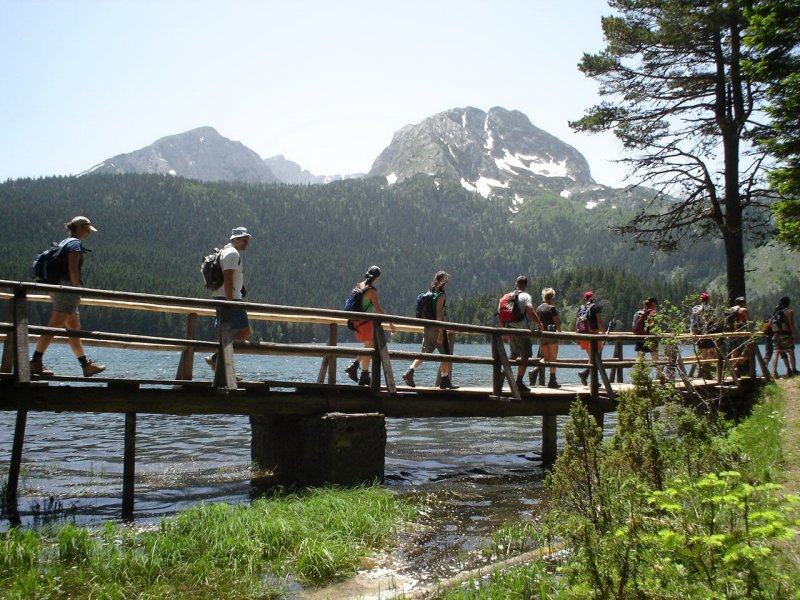 npdurmitor