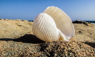 Sunčano, do 36 stepeni