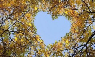 Sunčano i toplo, do 37 stepeni