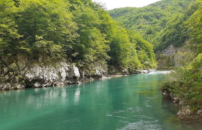 Mrdak: Za godinu do dvije dana Tara će opet biti suza Evrope