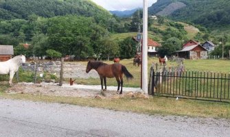 SNP Gusinje: Vandalski čin rušenja kapije i ograde oko Crkve Svetog Vasilija Ostroškog 