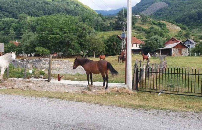 SNP Gusinje: Vandalski čin rušenja kapije i ograde oko Crkve Svetog Vasilija Ostroškog 
