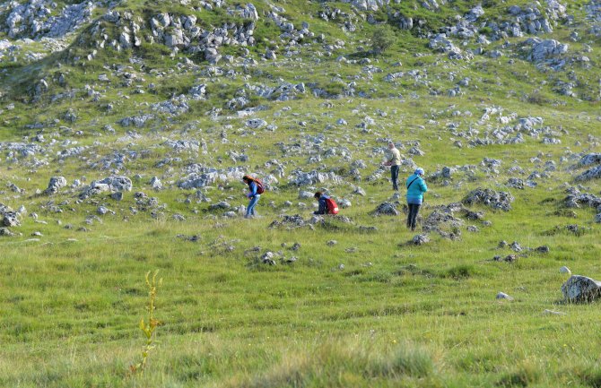 Utvrđuju nulto stanje na Sinjajevini