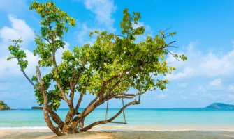 Danas sunčano i toplo, do 37 stepeni