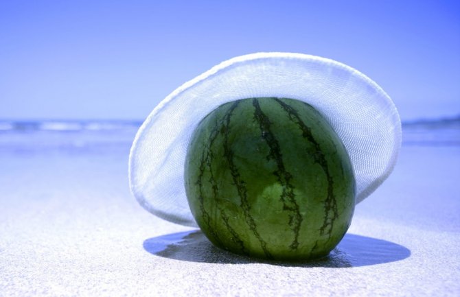 Danas sunčano i veoma toplo