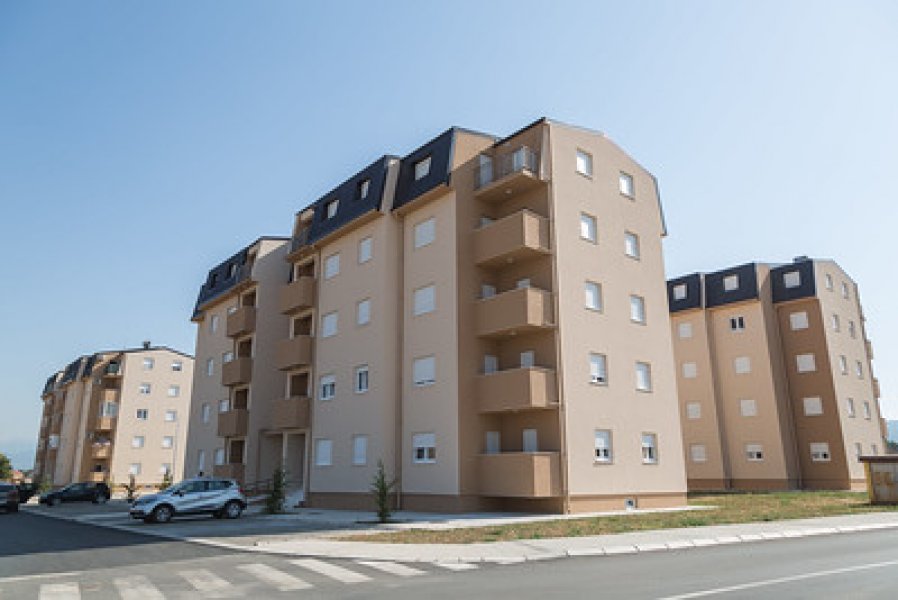 50173118422392429aa4aw