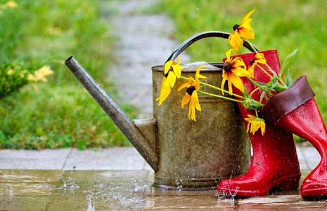 Kišovito, do 30 stepeni