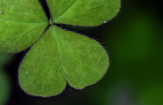 Pretežno sunčano, do 33 stepena