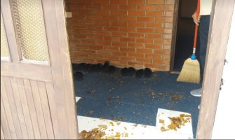 Muslić: Incidenti neće zaplašiti pripadnike bošnjačko-muslimanskog naroda jer su oni svoji na svome u Pljevljima