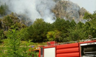 Požar na Višnjici, vatrogasci od jutros na terenu, tražili pomoć Direktorata za vanredne situacije